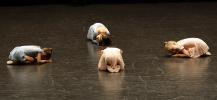 Baby danse classique juin 2026